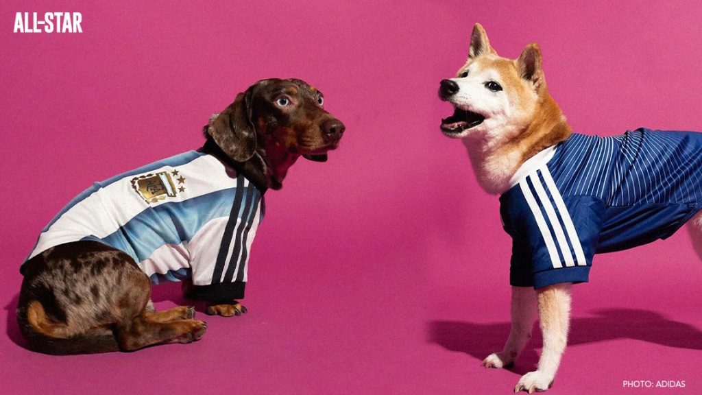 adidas pets jerseys